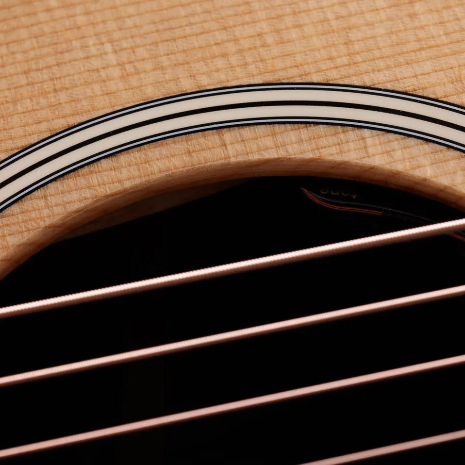 Đàn Guitar Acoustic Taylor Gold Label 717e