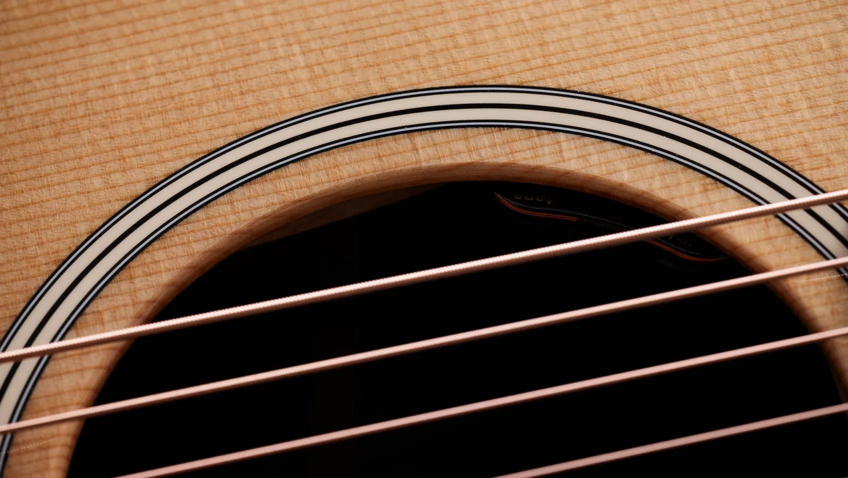 Đàn Guitar Acoustic Taylor Gold Label 717e