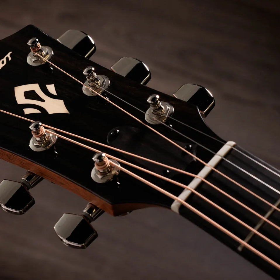 Đàn Guitar Acoustic Taylor Gold Label 717e