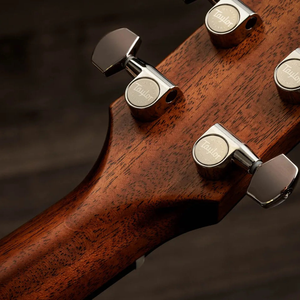 Đàn Guitar Acoustic Taylor Gold Label 717e