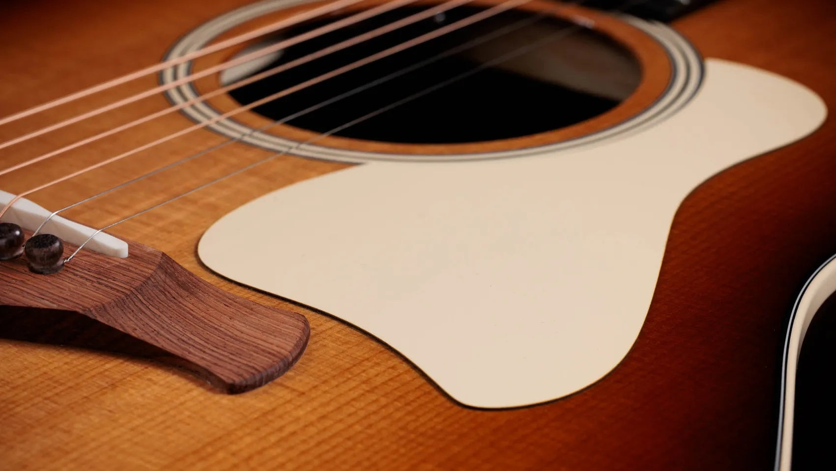 Đàn Guitar Acoustic Taylor Gold Label 717e