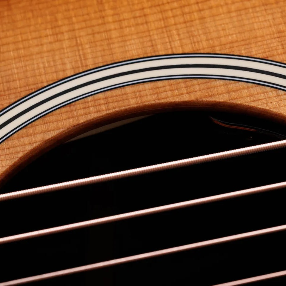 Đàn Guitar Acoustic Taylor Gold Label 717e