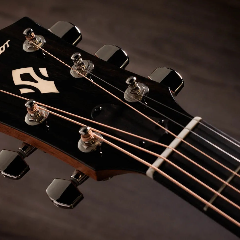 Đàn Guitar Acoustic Taylor Gold Label 717e