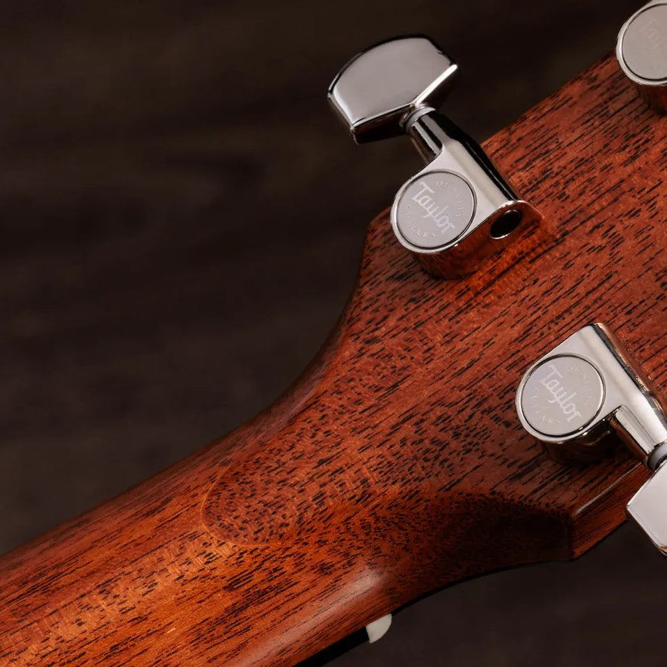 Đàn Guitar Acoustic Taylor Gold Label 717e