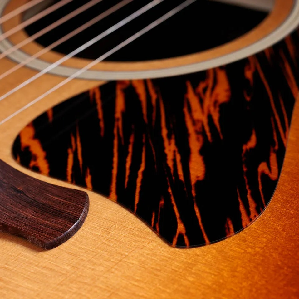 Đàn Guitar Acoustic Taylor Gold Label 717e