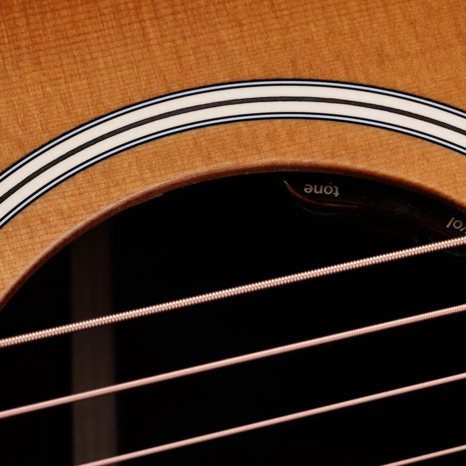 Đàn Guitar Acoustic Taylor Gold Label 717e