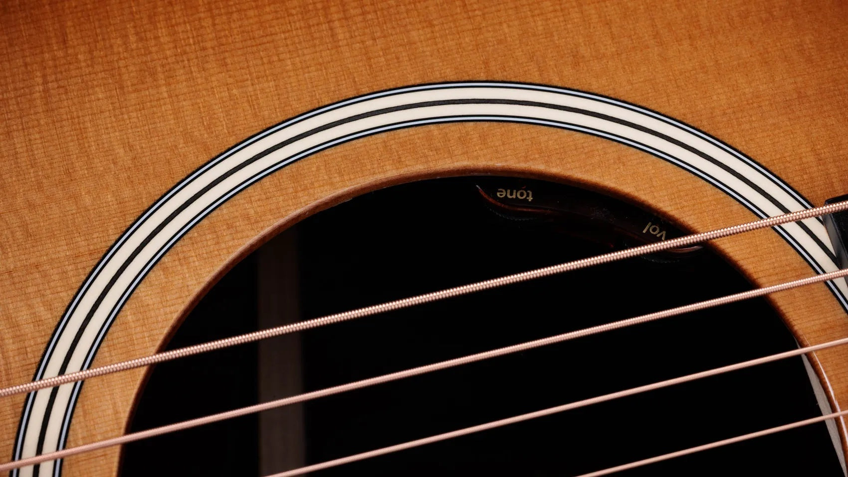 Đàn Guitar Acoustic Taylor Gold Label 717e