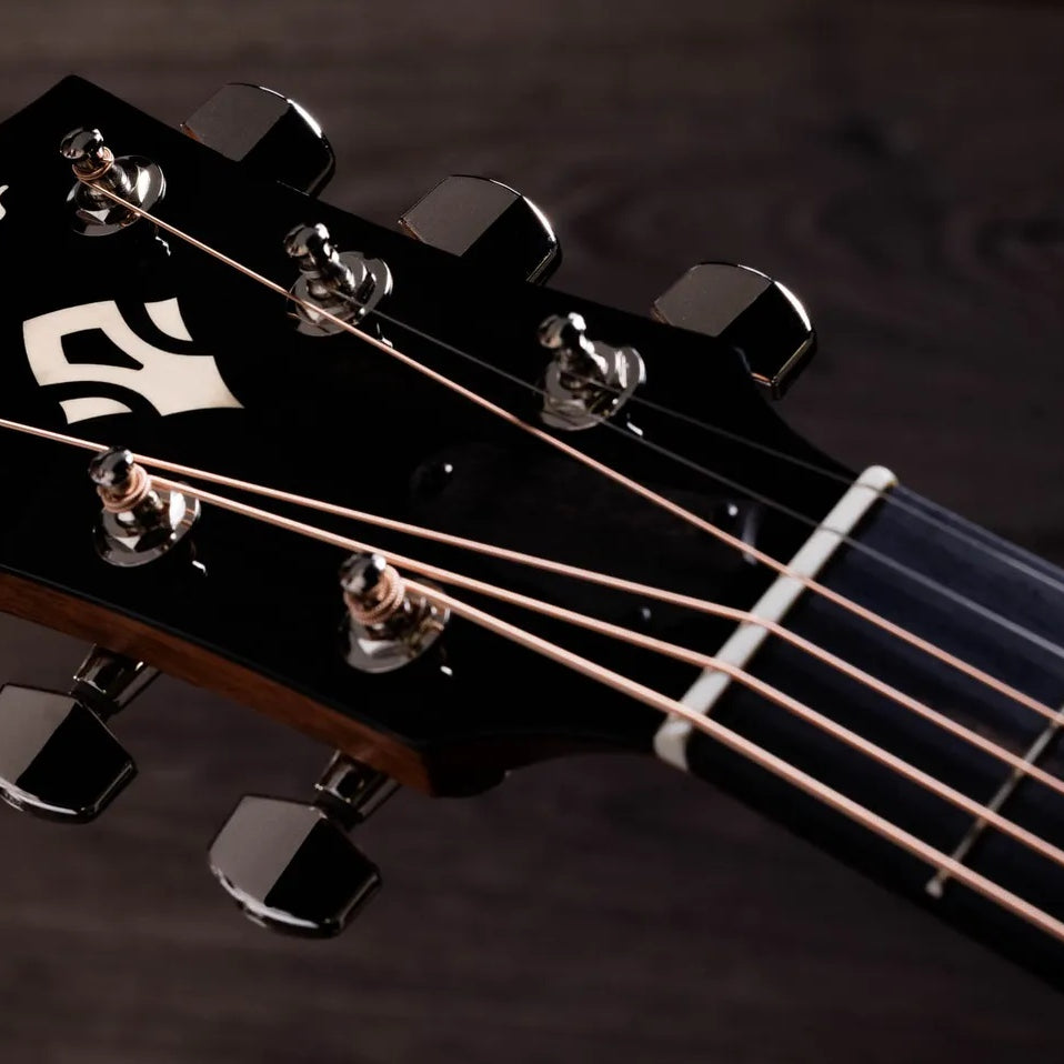 Đàn Guitar Acoustic Taylor Gold Label 717e
