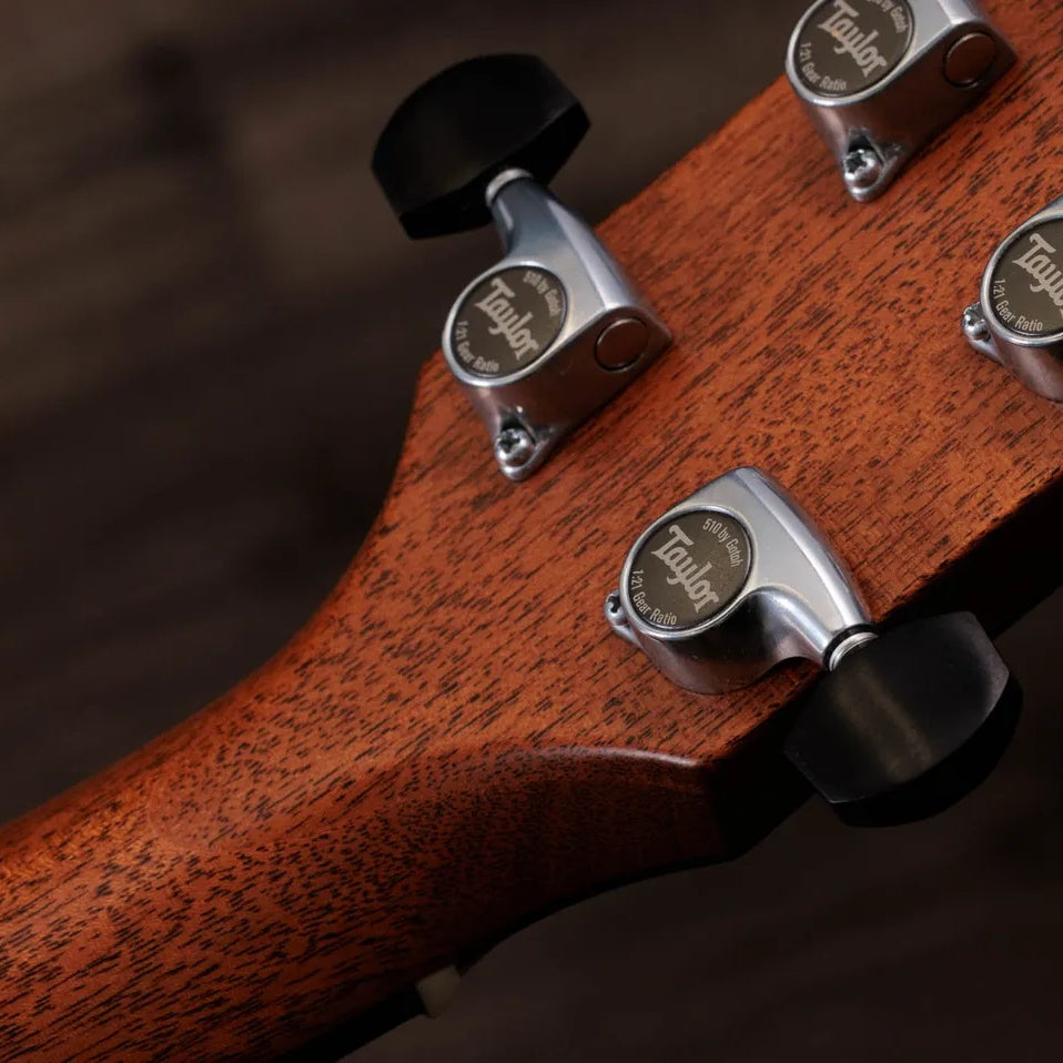 Đàn Guitar Acoustic Taylor Gold Label 810e - Natural