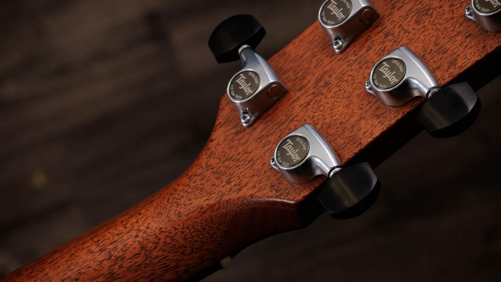Đàn Guitar Acoustic Taylor Gold Label 810e - Natural