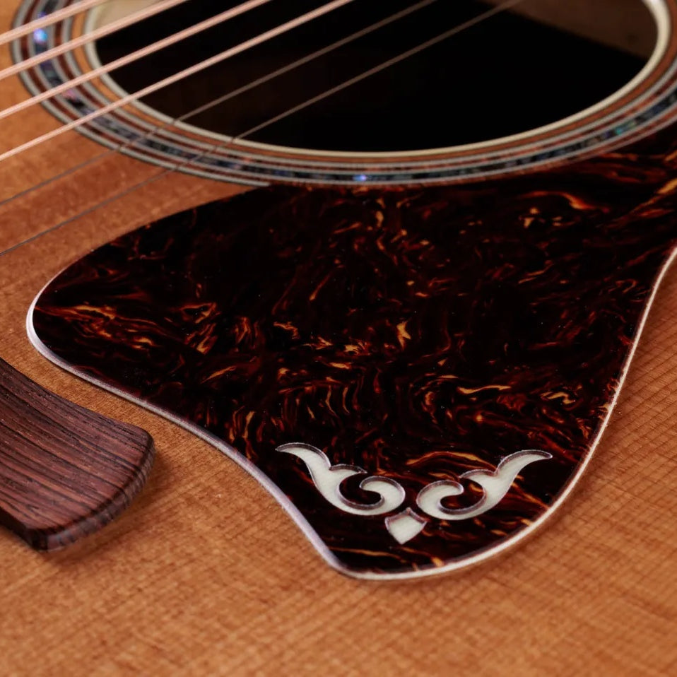 Đàn Guitar Acoustic Taylor Gold Label 810e - Natural