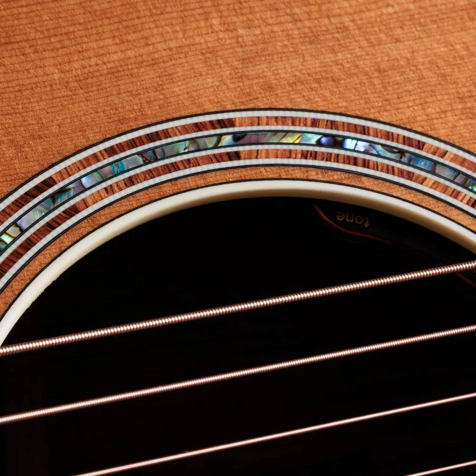 Đàn Guitar Acoustic Taylor Gold Label 810e - Natural