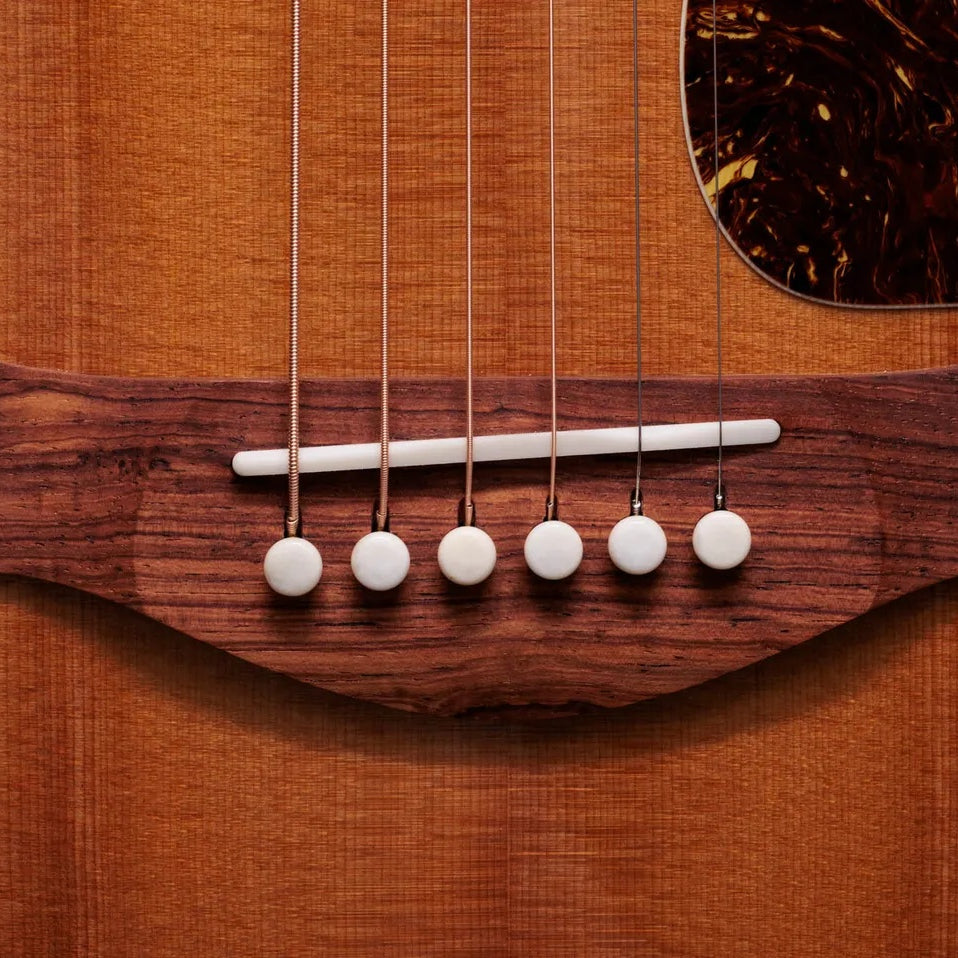 Đàn Guitar Acoustic Taylor Gold Label 814e