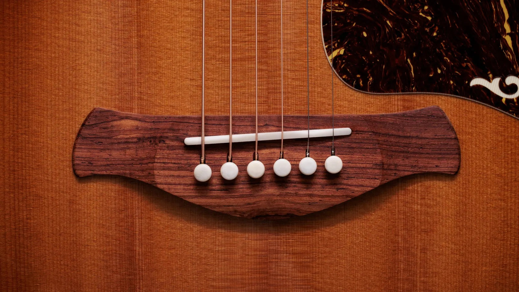 Đàn Guitar Acoustic Taylor Gold Label 814e