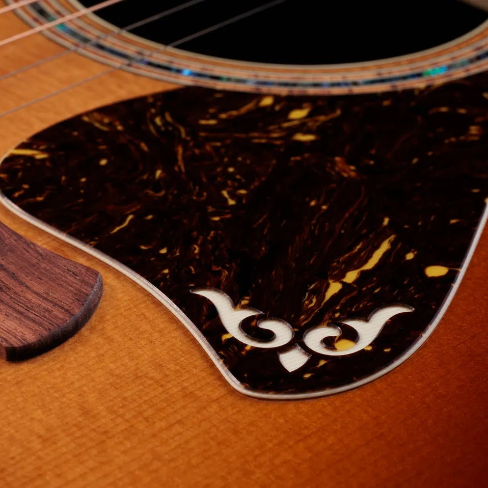 Đàn Guitar Acoustic Taylor Gold Label 814e