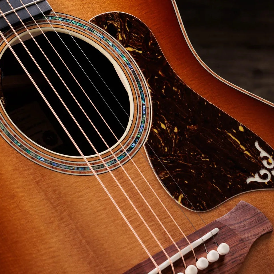 Đàn Guitar Acoustic Taylor Gold Label 814e