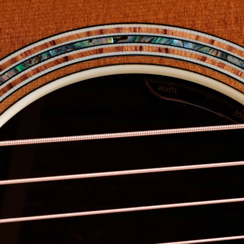 Đàn Guitar Acoustic Taylor Gold Label 814e
