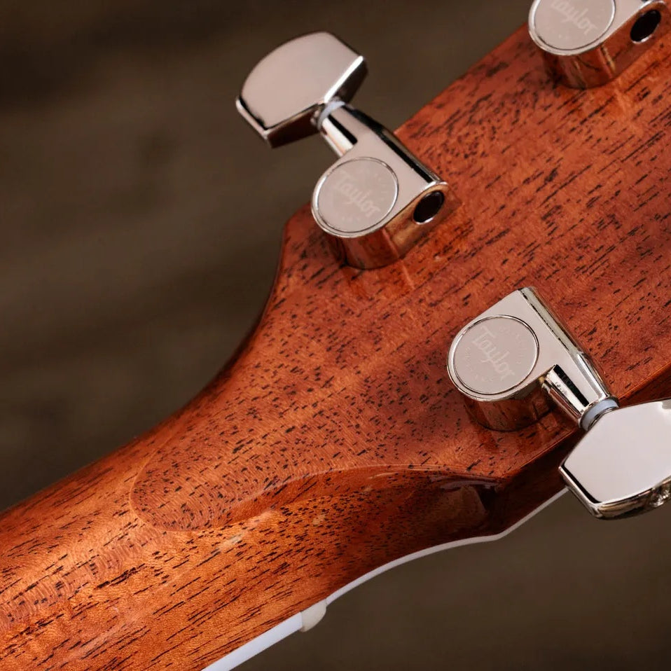 Đàn Guitar Acoustic Taylor 810e Legacy - Natural
