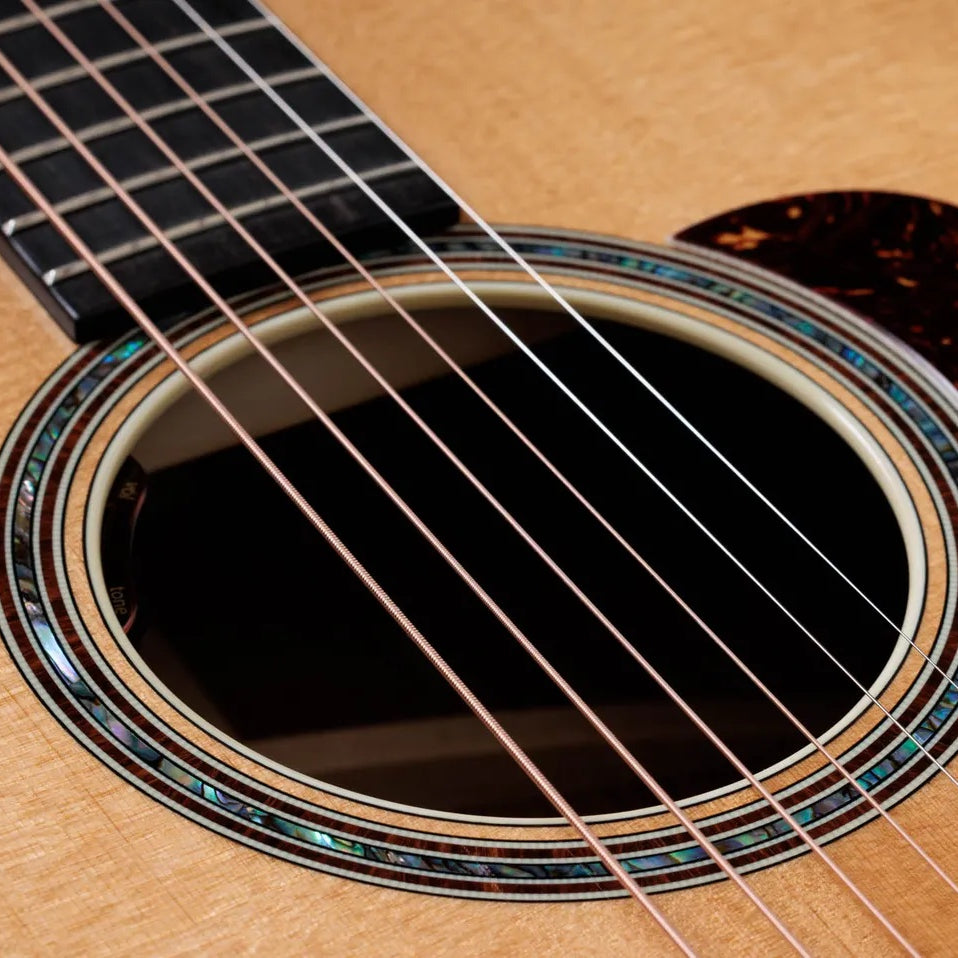 Đàn Guitar Acoustic Taylor Gold Label 814e