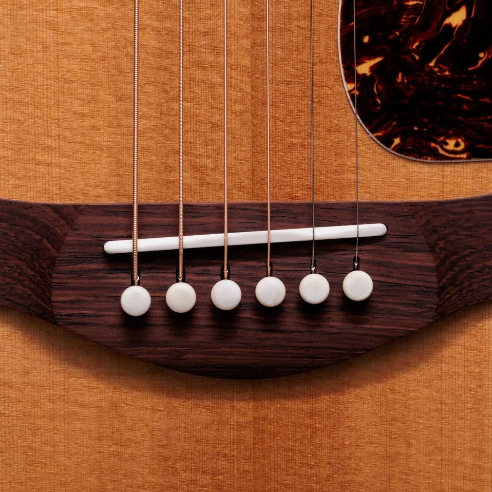 Đàn Guitar Acoustic Taylor Gold Label 814e
