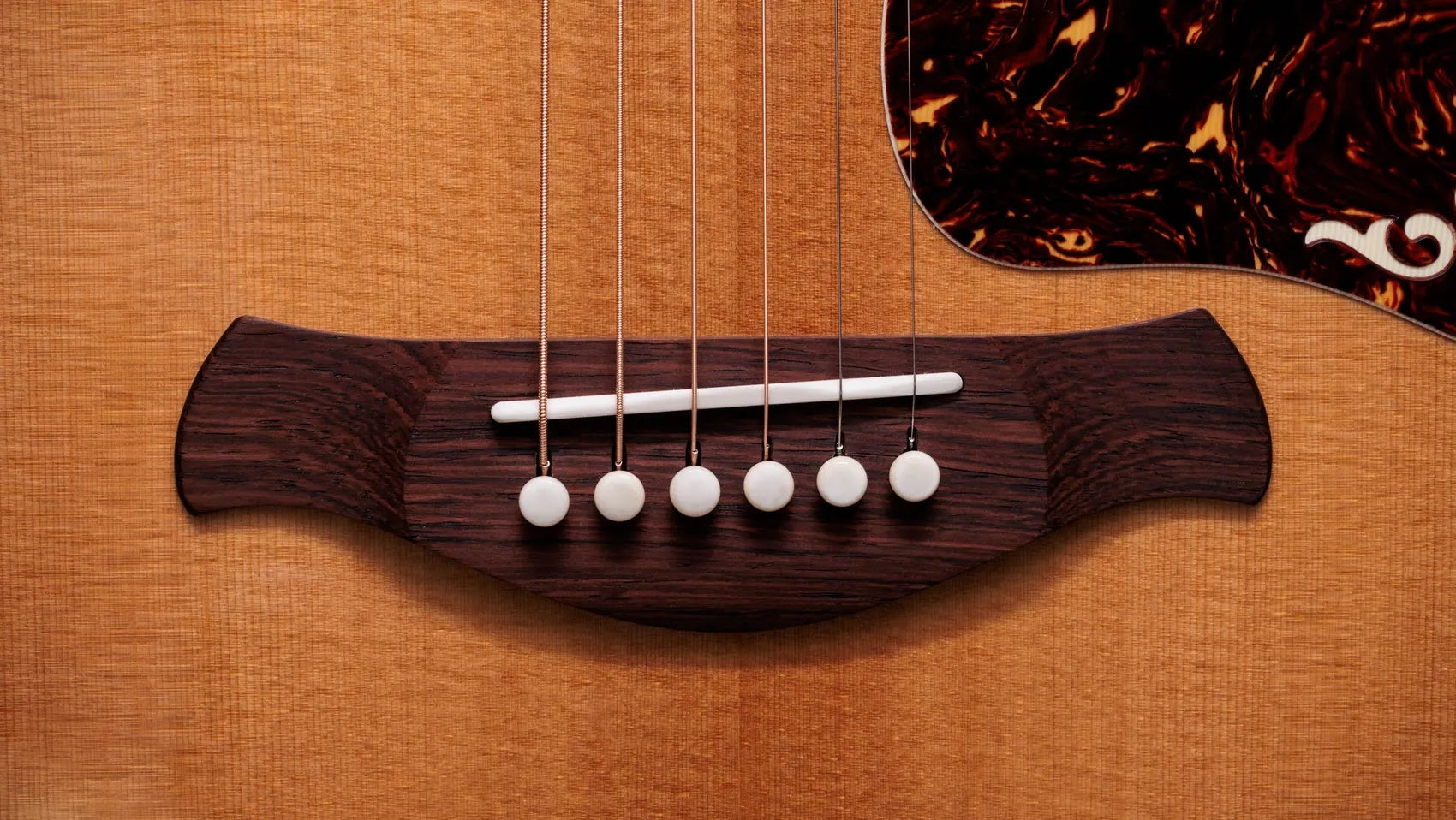 Đàn Guitar Acoustic Taylor Gold Label 814e