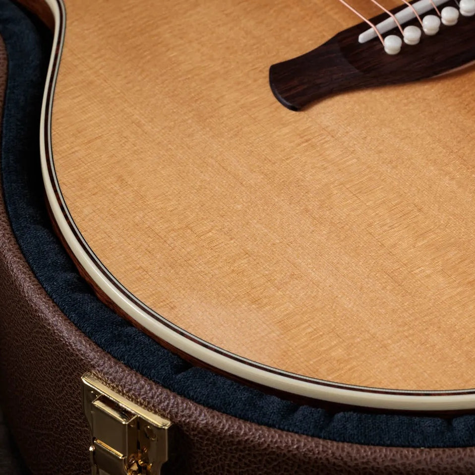 Đàn Guitar Acoustic Taylor Gold Label 814e