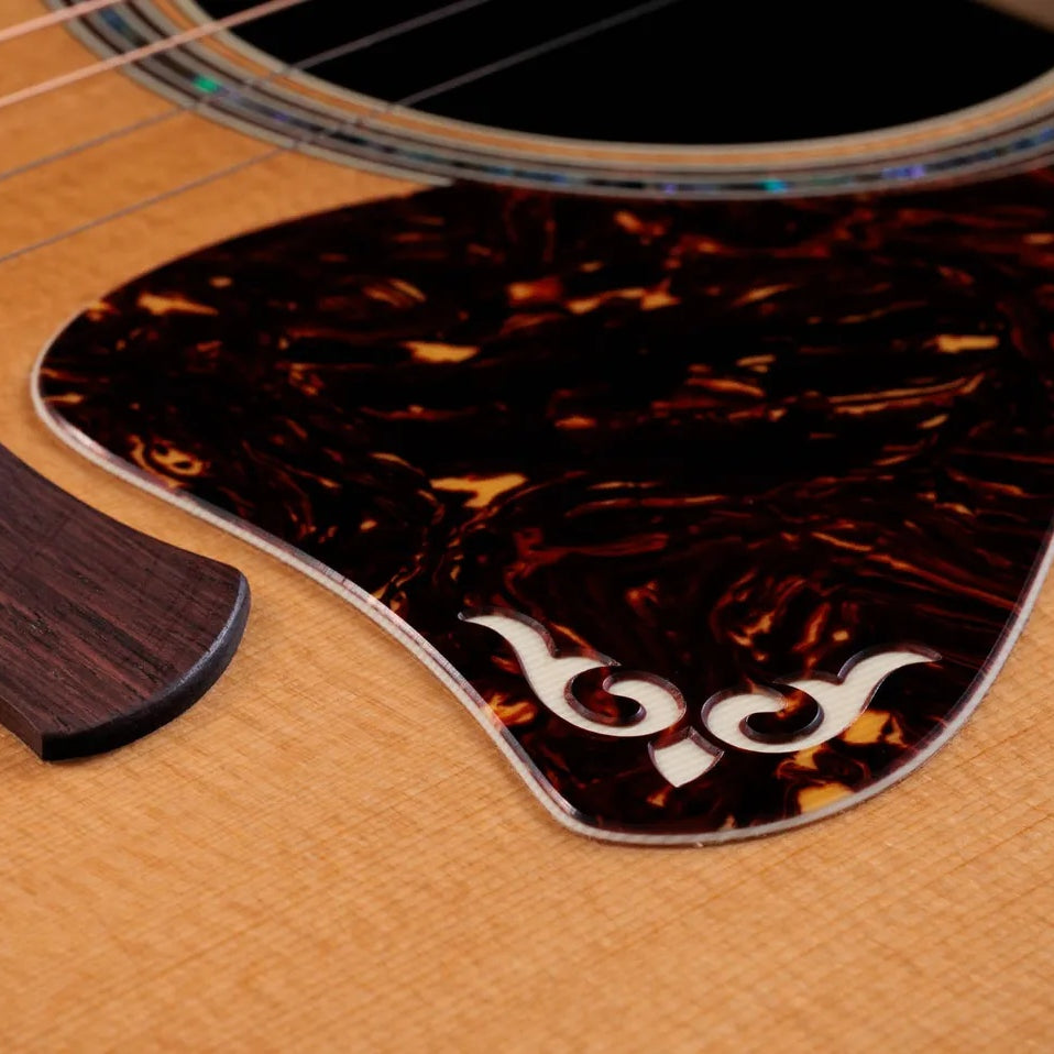 Đàn Guitar Acoustic Taylor Gold Label 814e