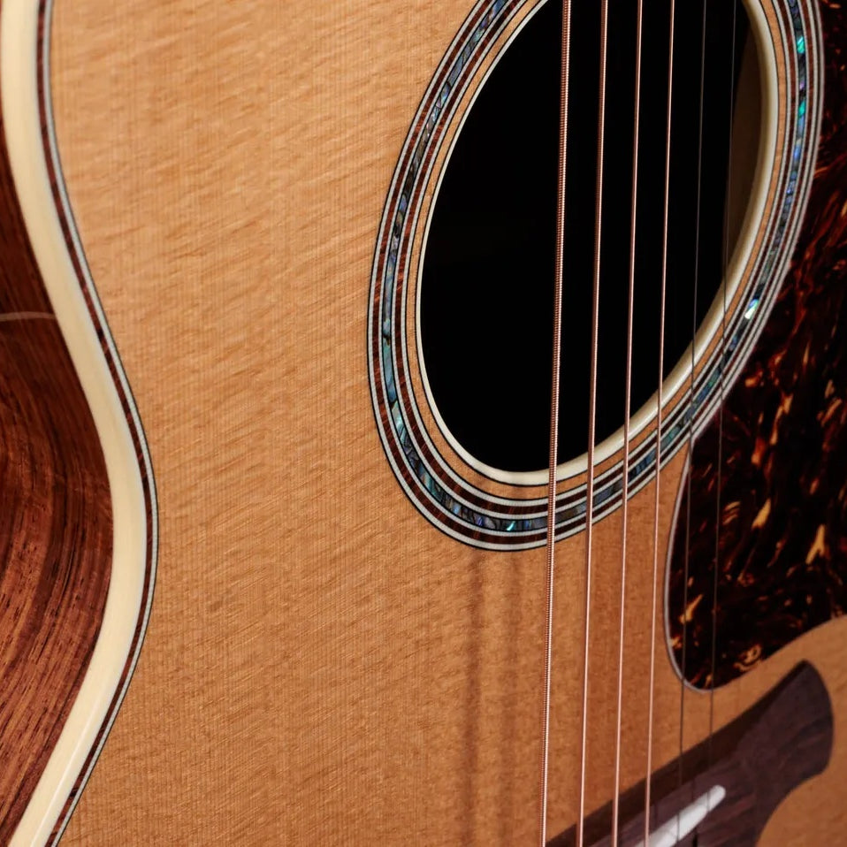Đàn Guitar Acoustic Taylor Gold Label 814e