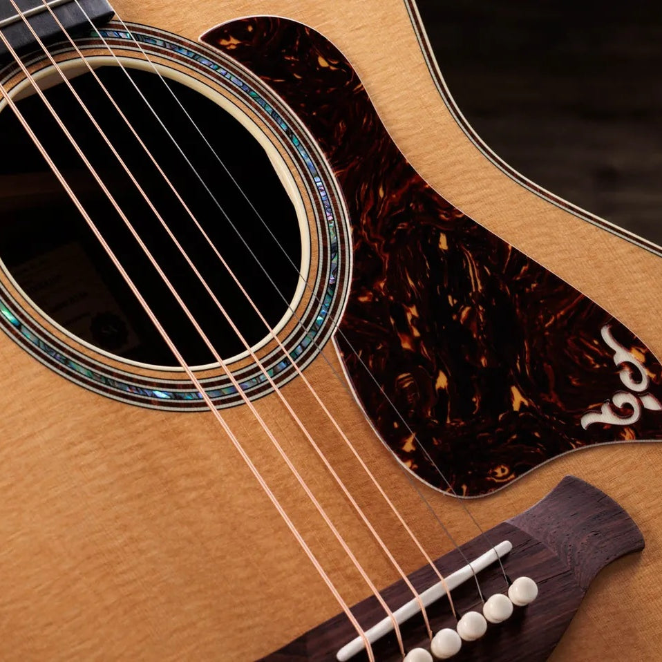 Đàn Guitar Acoustic Taylor Gold Label 814e
