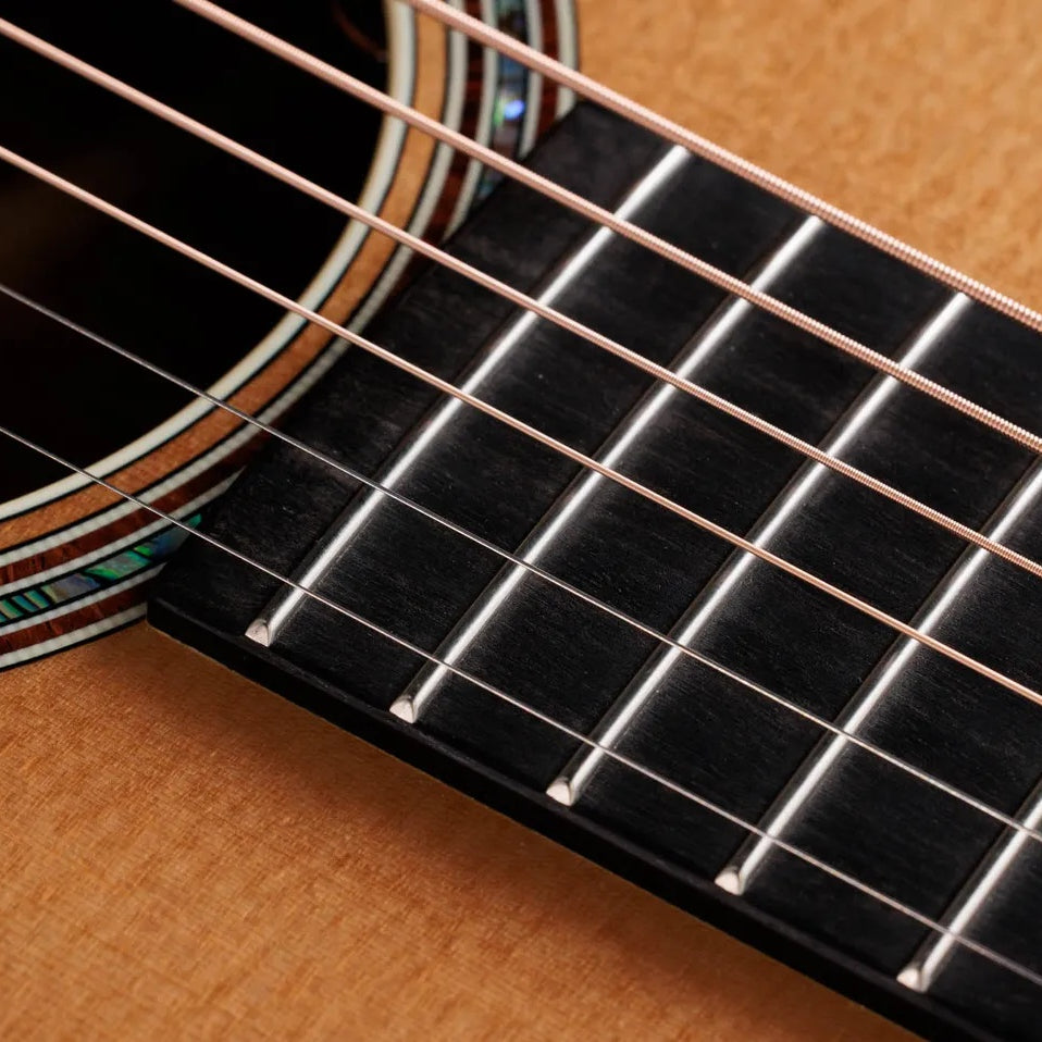 Đàn Guitar Acoustic Taylor Gold Label 814e