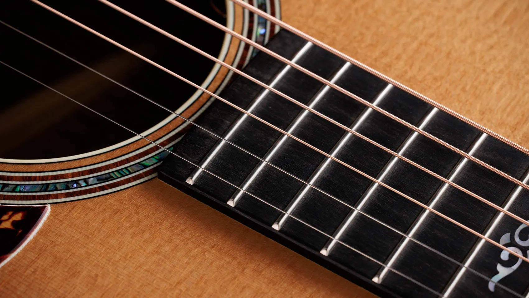 Đàn Guitar Acoustic Taylor Gold Label 814e