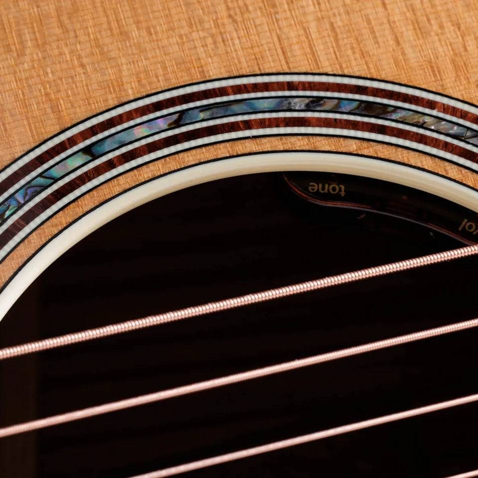 Đàn Guitar Acoustic Taylor Gold Label 814e