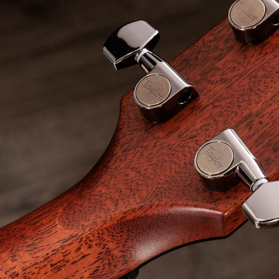 Đàn Guitar Acoustic Taylor Next Generation 814ce - Natural
