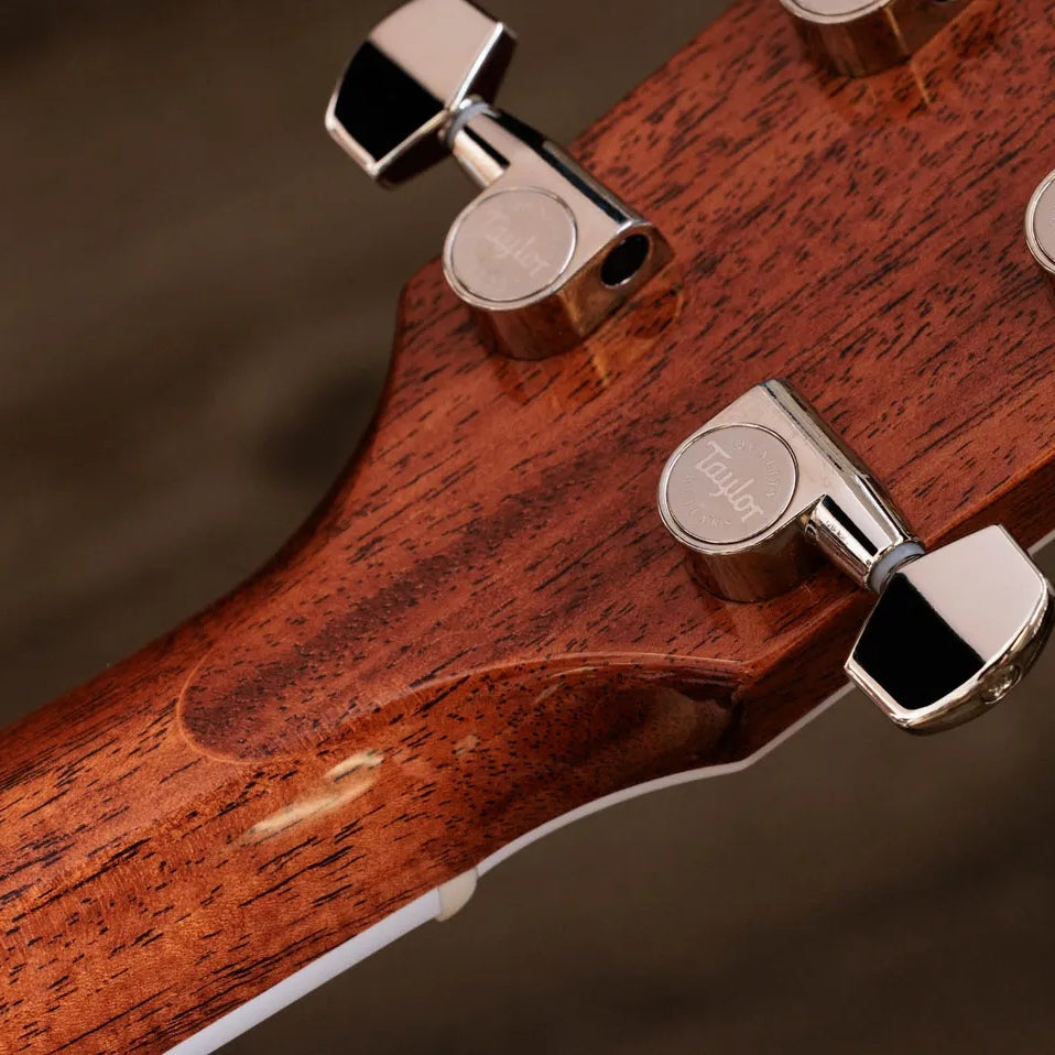 Đàn Guitar Acoustic Taylor Legacy 815e - Natural