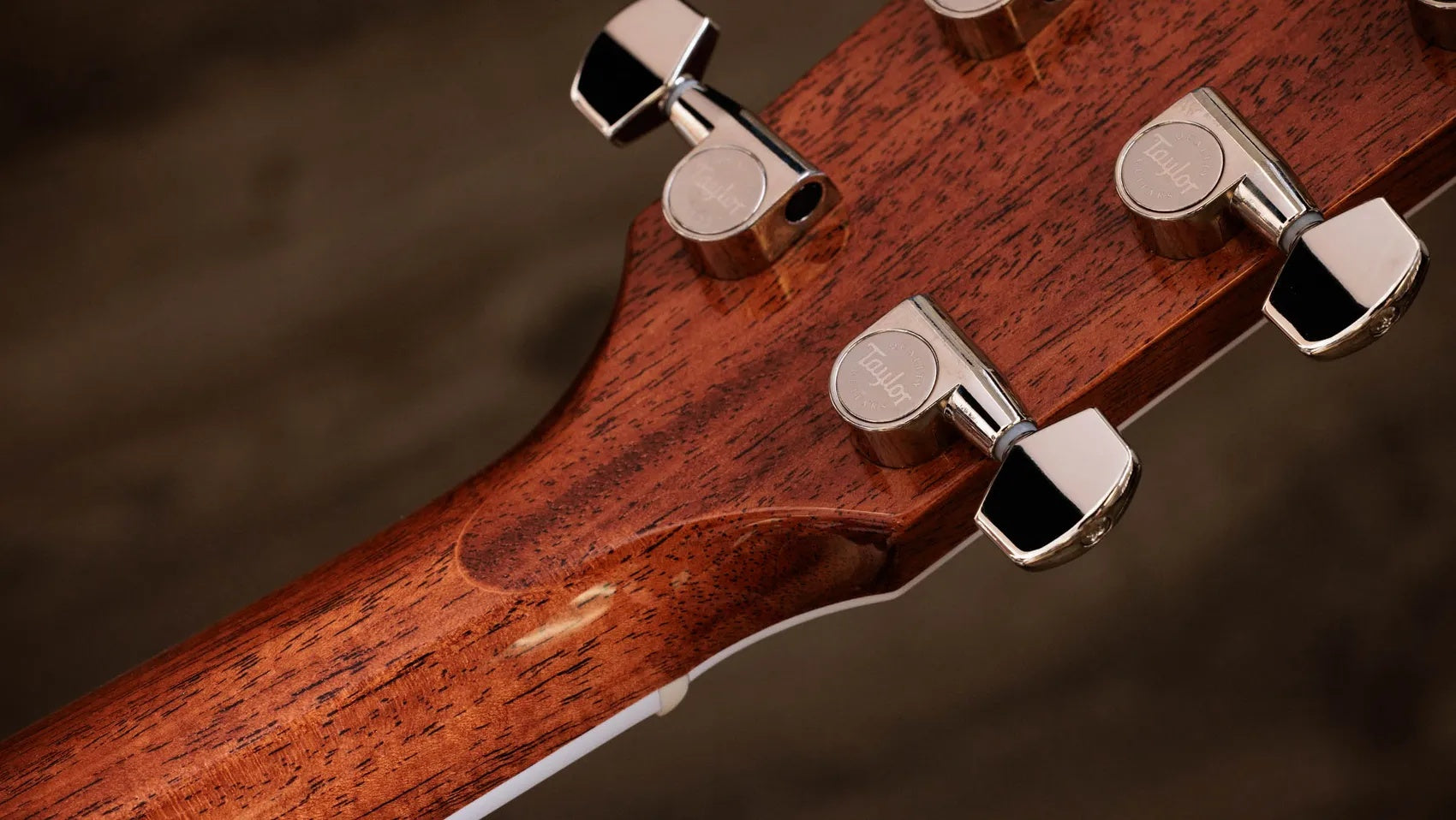 Đàn Guitar Acoustic Taylor Legacy 815e - Natural