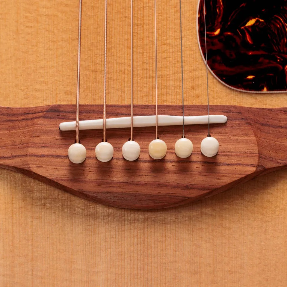 Đàn Guitar Acoustic Taylor Gold Label 817e