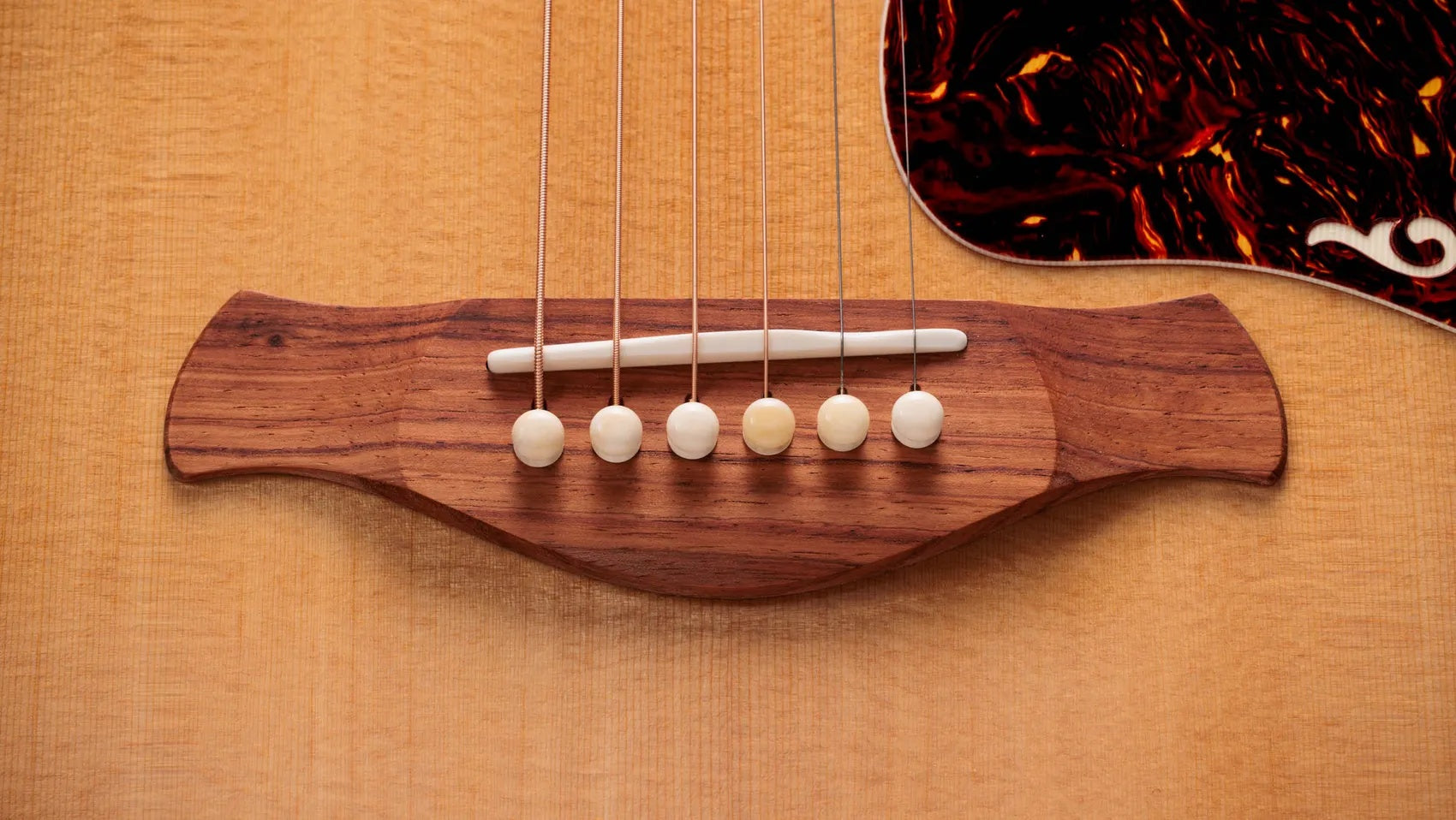 Đàn Guitar Acoustic Taylor Gold Label 817e
