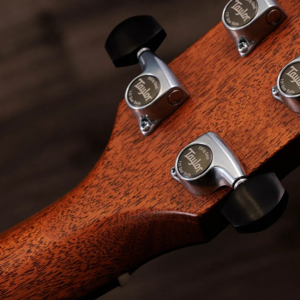 Đàn Guitar Acoustic Taylor Gold Label 817e