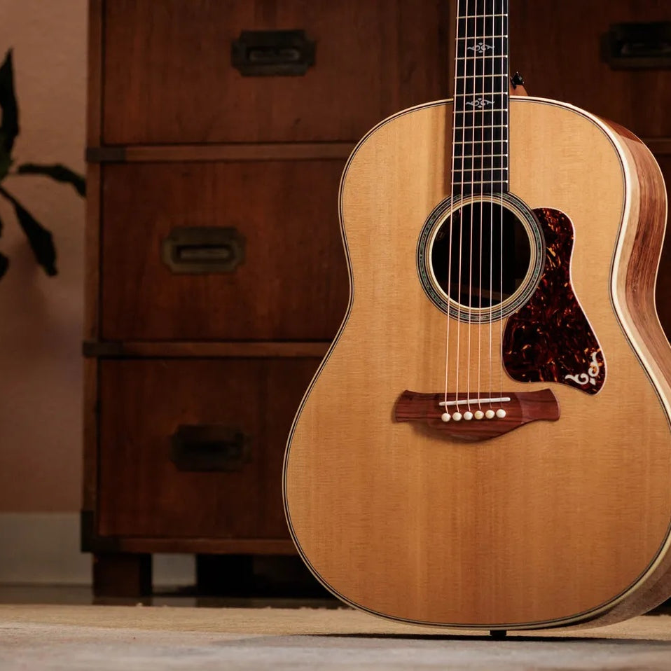 Đàn Guitar Acoustic Taylor Gold Label 817e