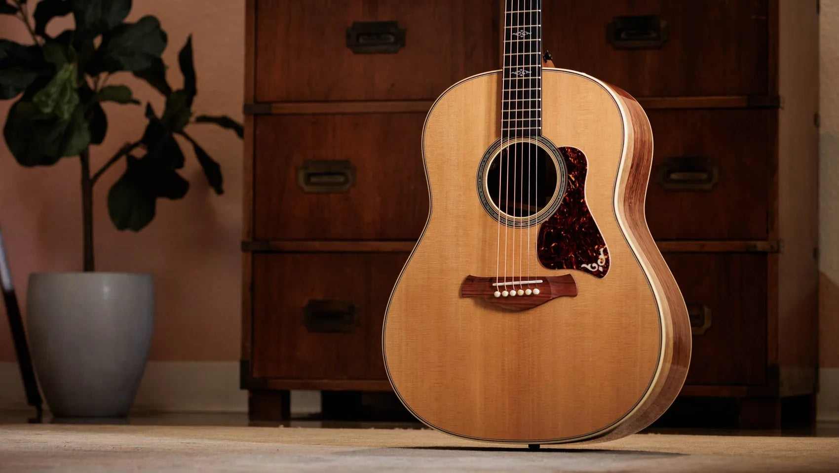 Đàn Guitar Acoustic Taylor Gold Label 817e