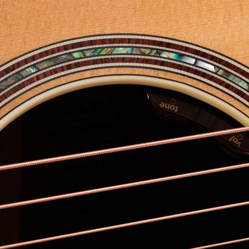 Đàn Guitar Acoustic Taylor Gold Label 817e
