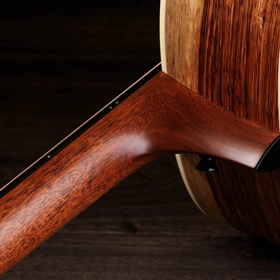 Đàn Guitar Acoustic Taylor Gold Label 817e