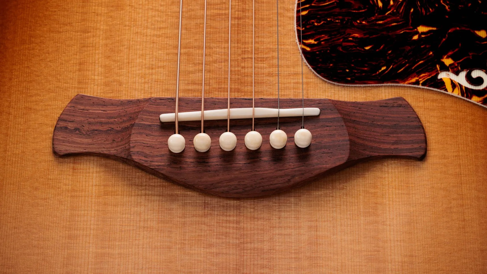 Đàn Guitar Acoustic Taylor Gold Label 817e