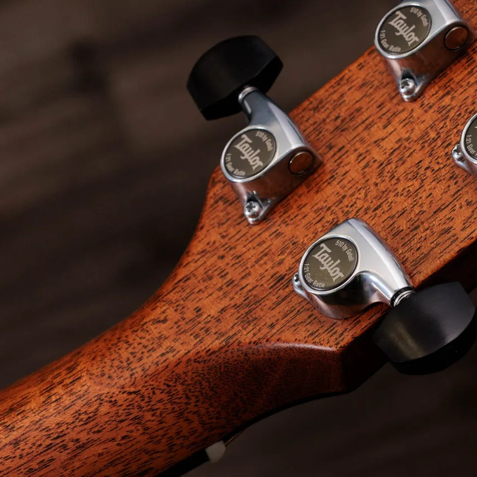Đàn Guitar Acoustic Taylor Gold Label 817e