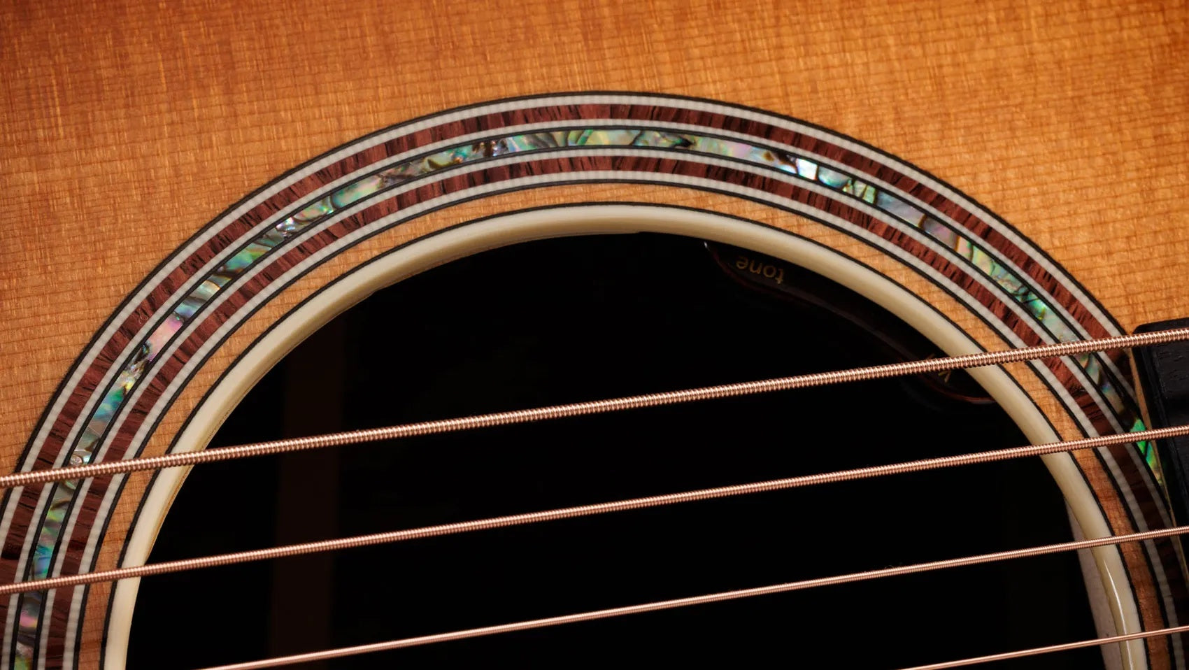 Đàn Guitar Acoustic Taylor Gold Label 817e