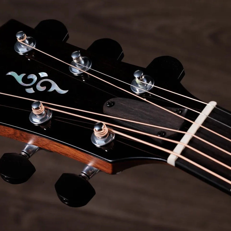 Đàn Guitar Acoustic Taylor Gold Label 817e