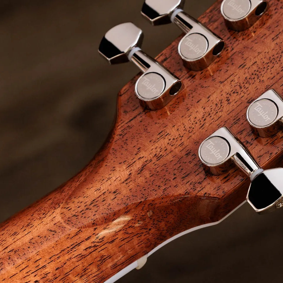 Đàn Guitar Acoustic 12-dây Taylor Legacy 855e - Natural-Mai Nguyên Music