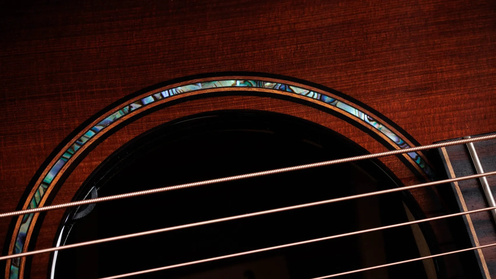 Đàn Guitar Acoustic Taylor Builder's Edition 914ce LTD Macassar Ebony - Shaded Edge Burst