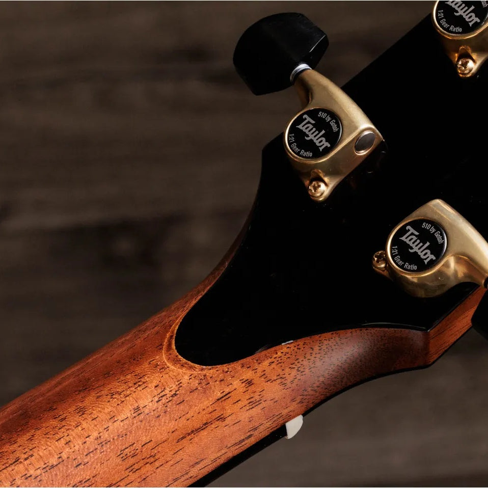Đàn Guitar Acoustic Taylor Gold Label 917e