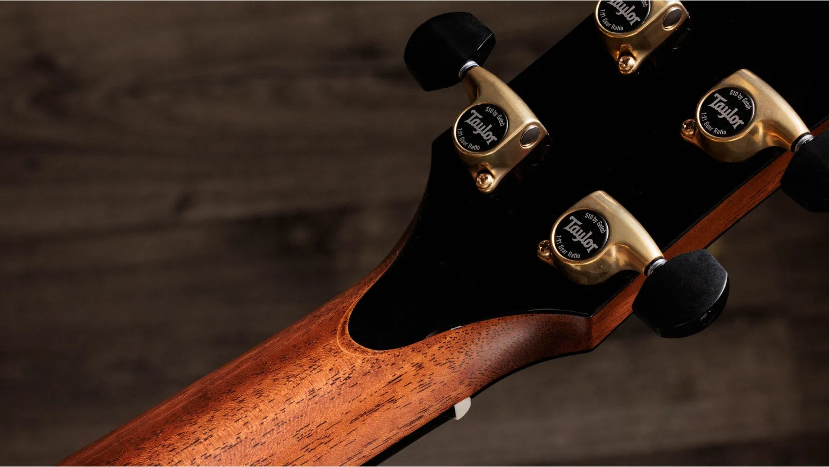 Đàn Guitar Acoustic Taylor Gold Label 917e